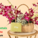 FernsNPetals Affiliate Program